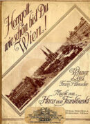 Herrgott, wie schön bist du Wien