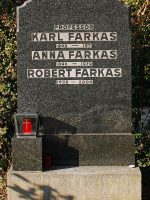 Karl Farkas Grabstätte