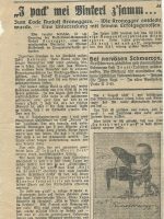 Das kleine Volksblatt 19.06.1929