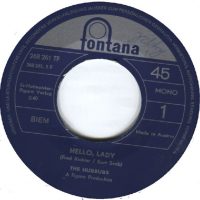 Hello Lady – 3