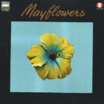 Mayflowers – 1