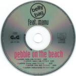 pebble on the beach – 3-1