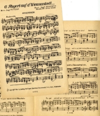 A Flugerl aus d‘ Weanastadt-1