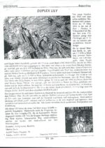Presse – 3