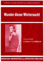 Wunder dieser Winternacht
