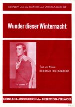 Wunder dieser Winternacht
