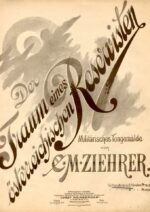 Der Traum eines österreichischen Reservisten