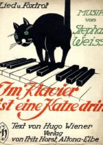 Im Klavier ist eine Katze drin