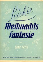 Leichte Weihnachts Fantasie-min