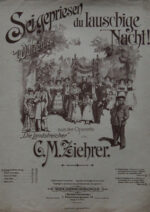 Sei gepriesen, du lauschige Nacht