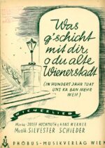 Was g’schicht mit dir, o du alte Wienerstadt